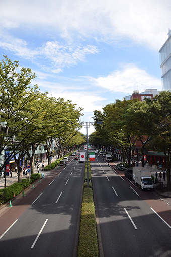 HarajukuOmotesando